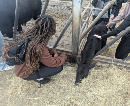 Screenshot 2025 07 09 at 12.30.43