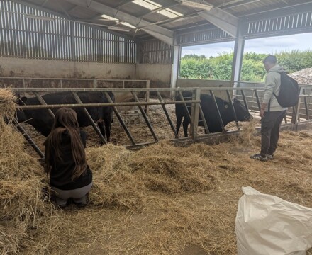 Screenshot 2025 07 09 at 12.30.57