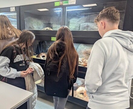 Screenshot 2025 07 09 at 12.31.13