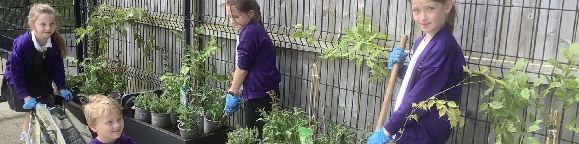 Screenshot 2025 05 02 at 13.47.45